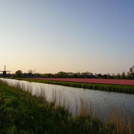 Modern At In Near Amsterdam *