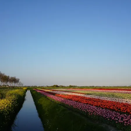 Horská chata Modern At In Near Amsterdam Opmeer